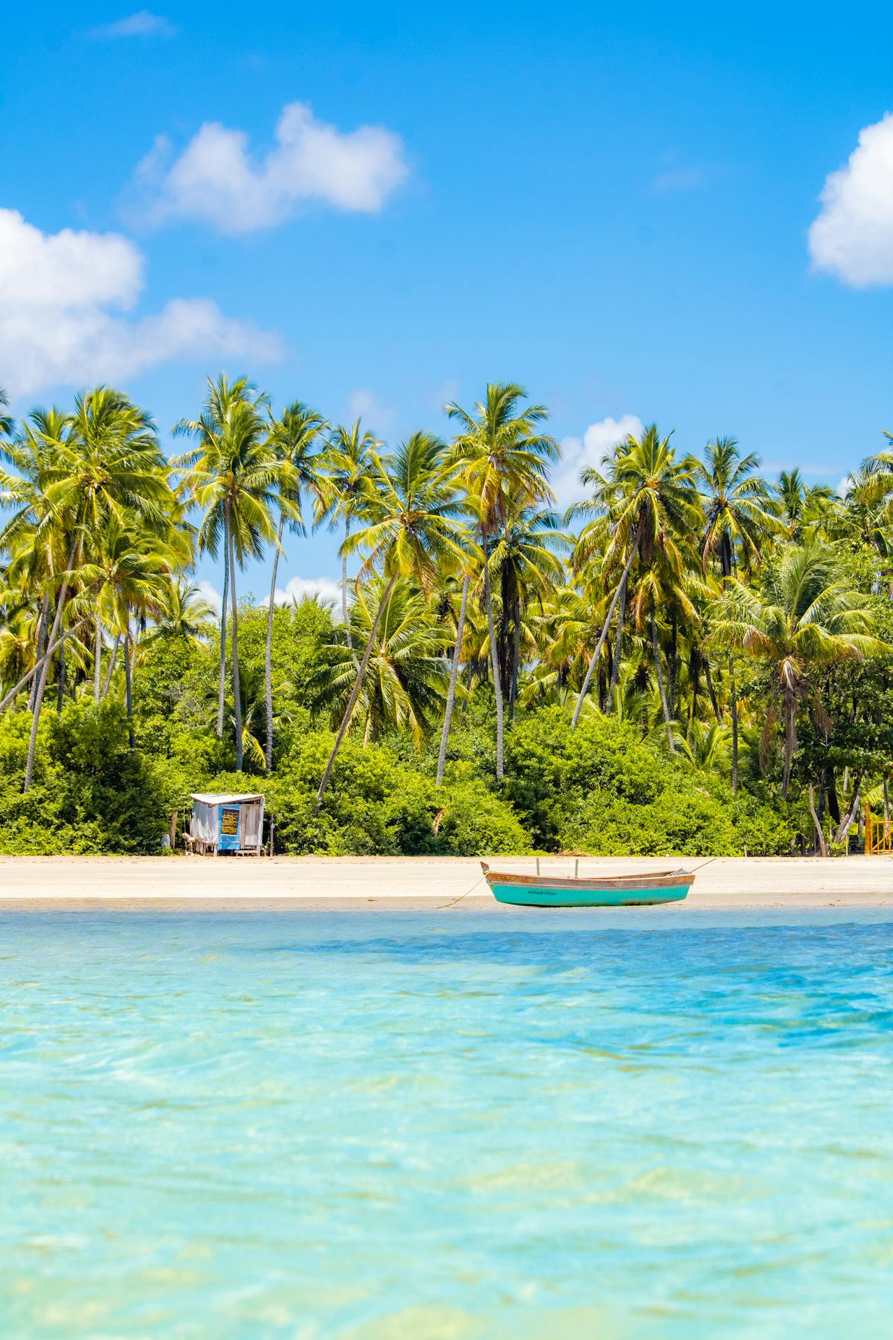 About Coconut Travel